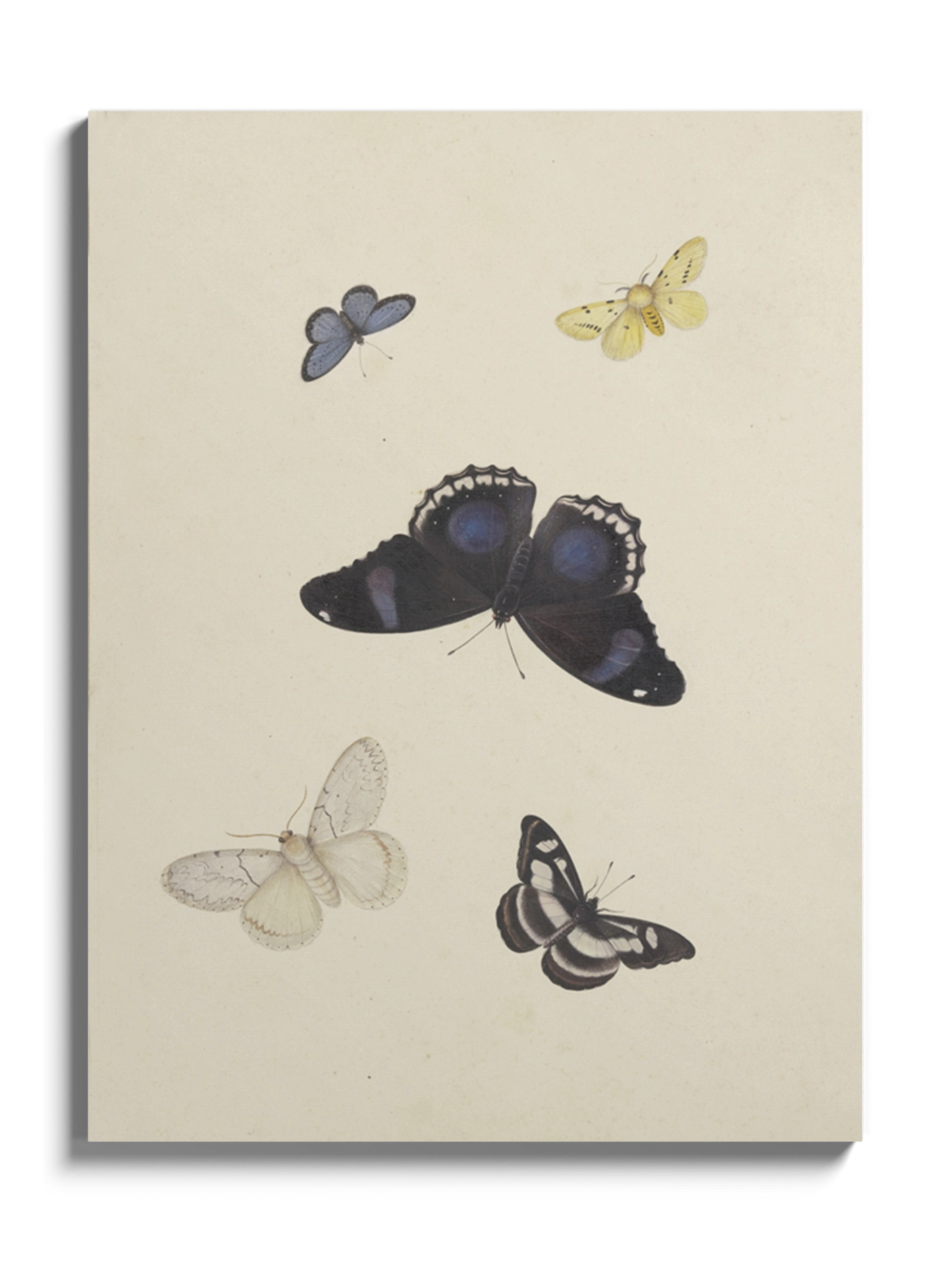 Картина "П'ять метеликів"