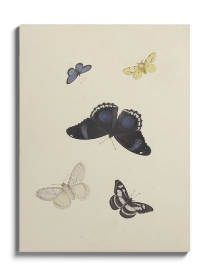 Картина "П'ять метеликів"