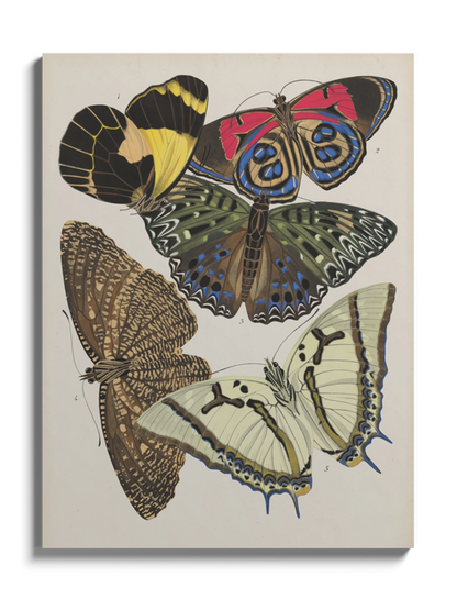 Постер з Метеликами