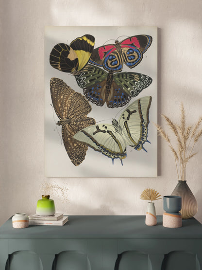 Постер з Метеликами