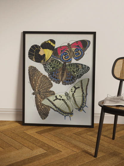 Постер з Метеликами