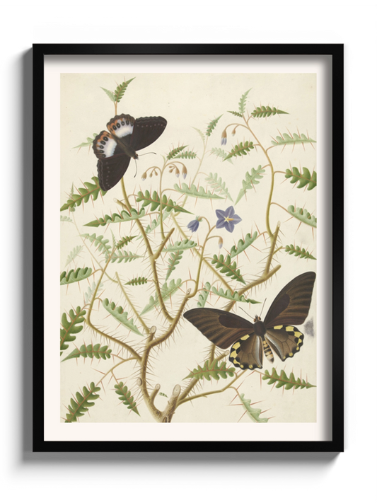 Картина "Квітучий кущ з двома екзотичними метеликами"