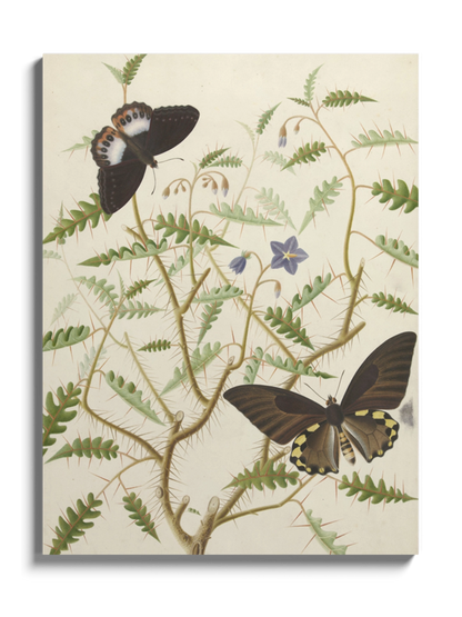 Картина "Квітучий кущ з двома екзотичними метеликами"