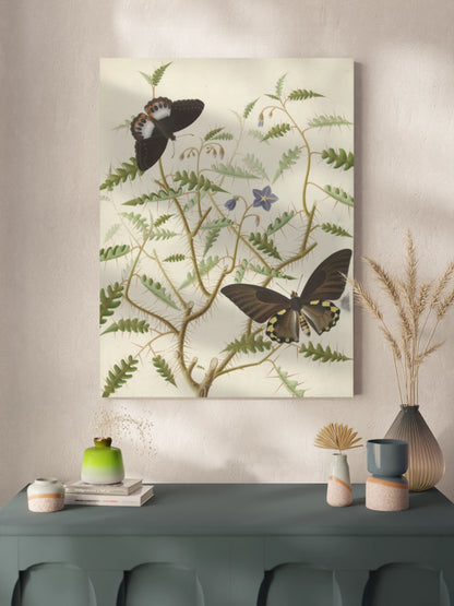 Картина "Квітучий кущ з двома екзотичними метеликами"