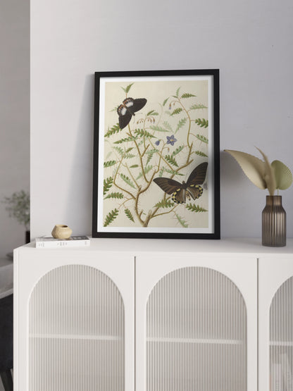 Картина "Квітучий кущ з двома екзотичними метеликами"