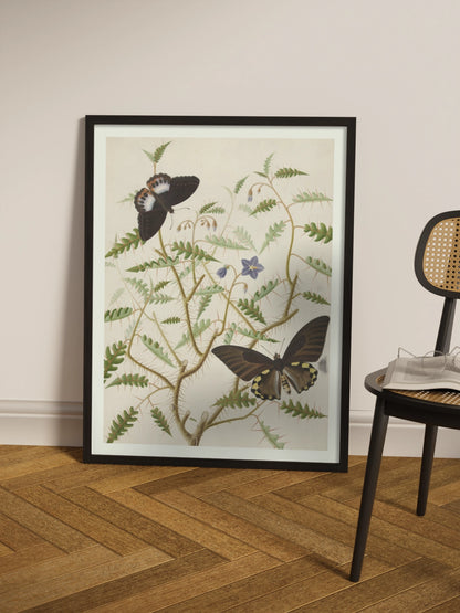 Картина "Квітучий кущ з двома екзотичними метеликами"