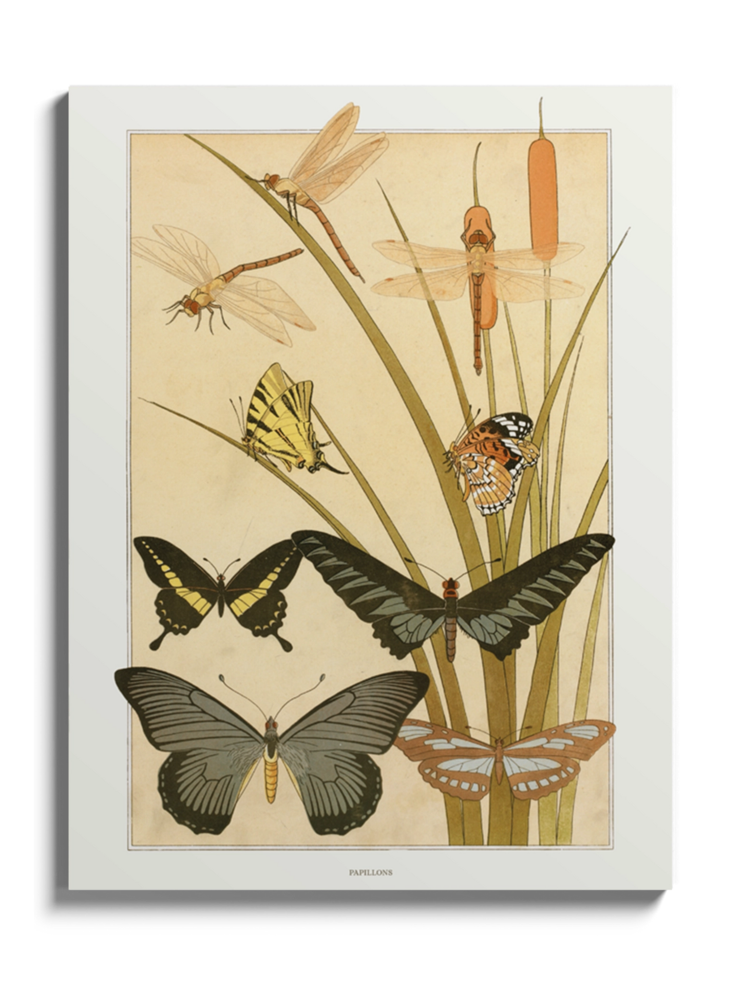 Картина "Метелики"