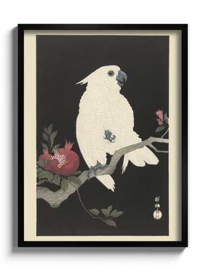 Друк Картина "Какаду та Гранат"