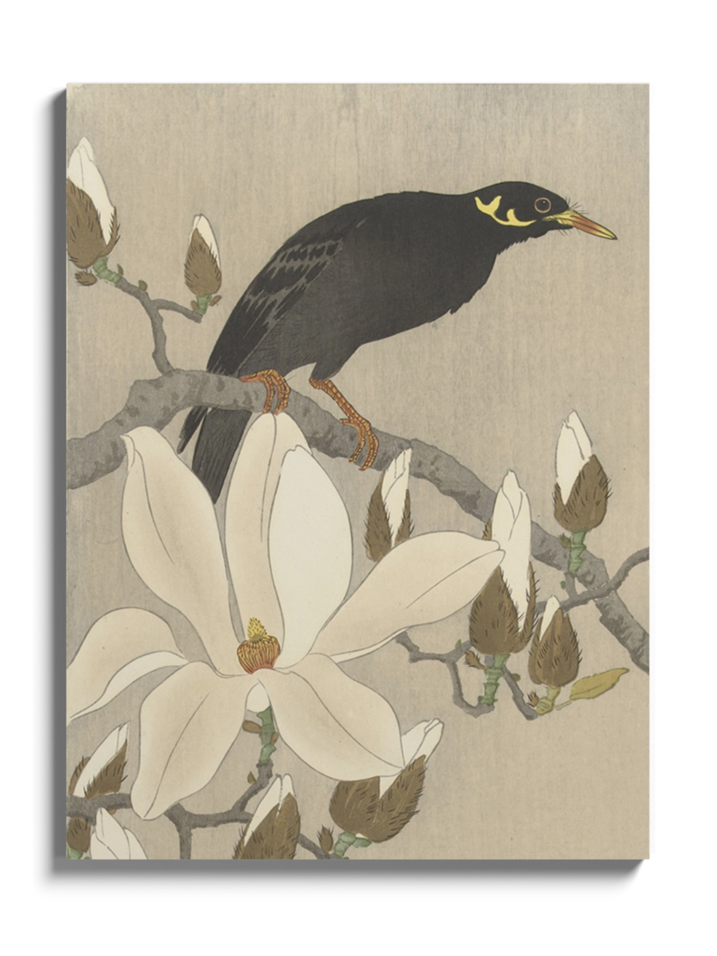 Друк Картина "Майна на гілці магнолії"