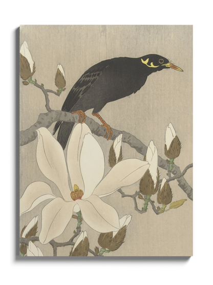 Друк Картина "Майна на гілці магнолії"