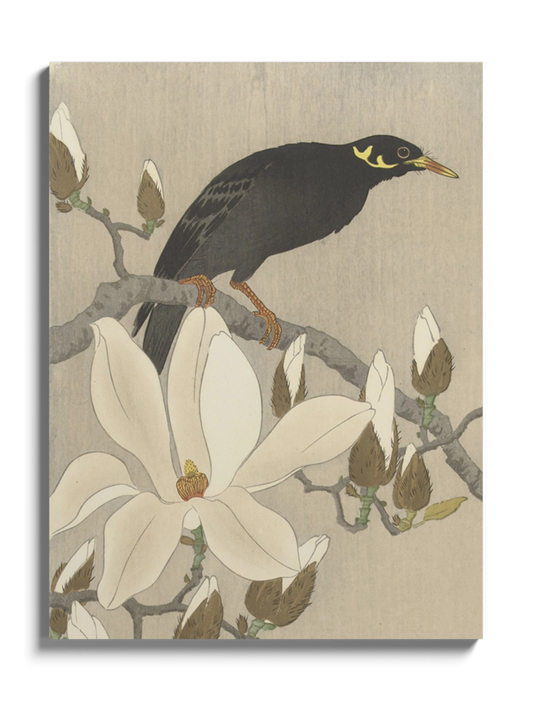 Друк Картина "Майна на гілці магнолії"