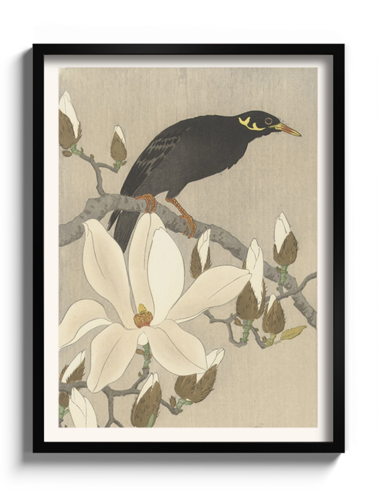 Друк Картина "Майна на гілці магнолії"