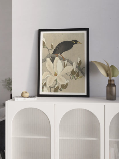 Друк Картина "Майна на гілці магнолії"