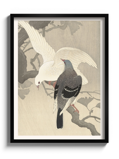 Друк Картина "Два Голуба на Гілці"