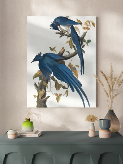 Друк Картина "Колумбійська сойка"