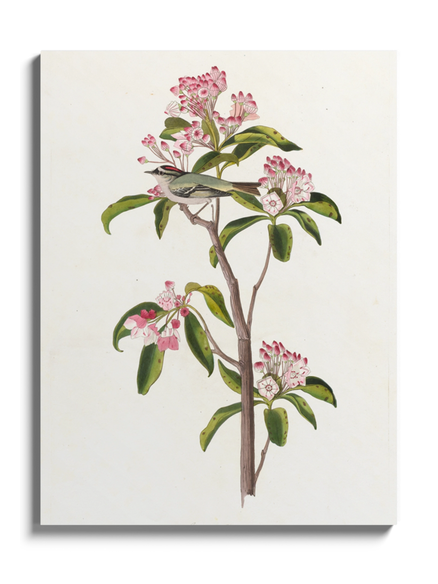 Друк Картина "Пташка Золотомушка"