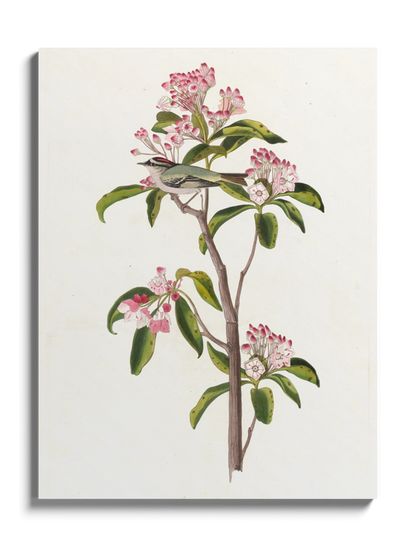 Друк Картина "Пташка Золотомушка"