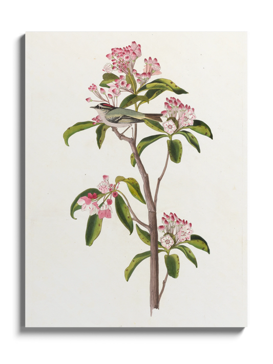 Друк Картина "Пташка Золотомушка"