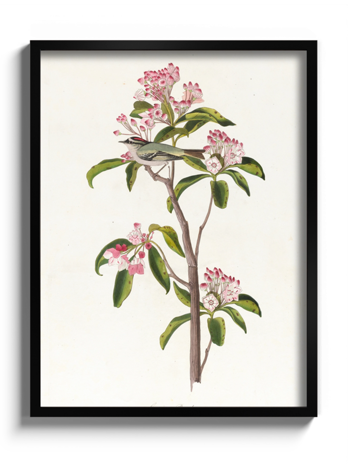 Друк Картина "Пташка Золотомушка"