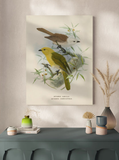 Друк Картина "Дві пташки на гілці"