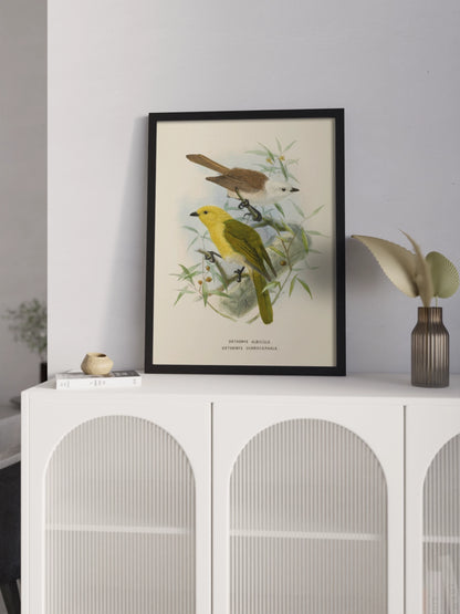 Друк Картина "Дві пташки на гілці"