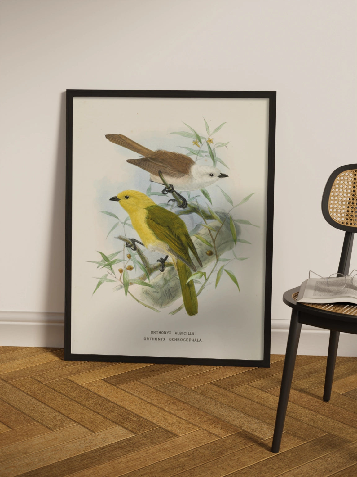 Друк Картина "Дві пташки на гілці"