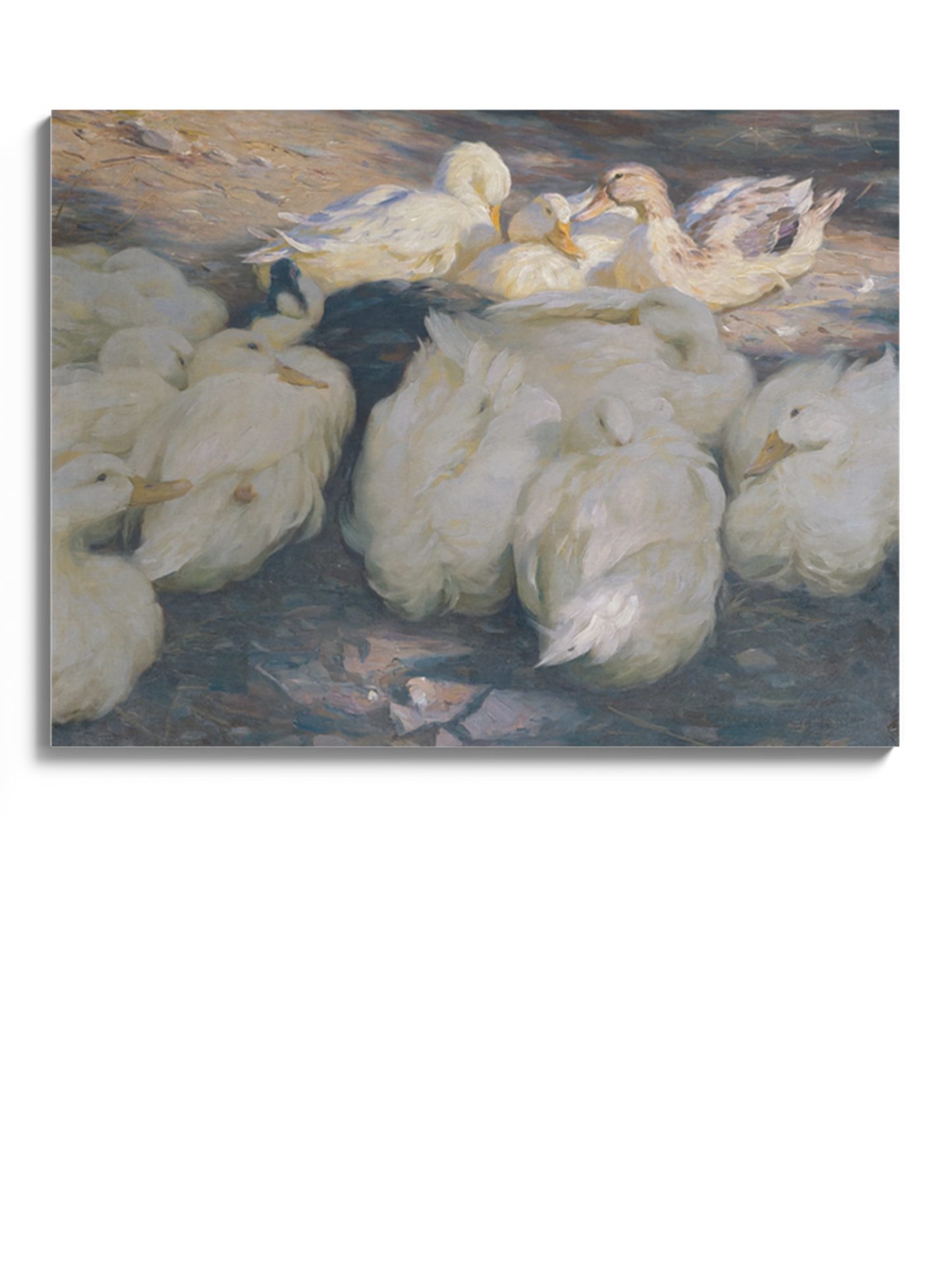 Друк Картина з качками "У вечірньому сонці"