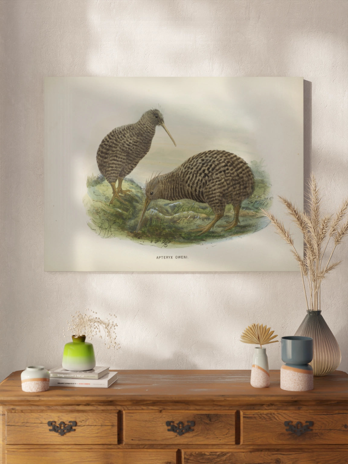 Друк Картина "Пташка ківі"