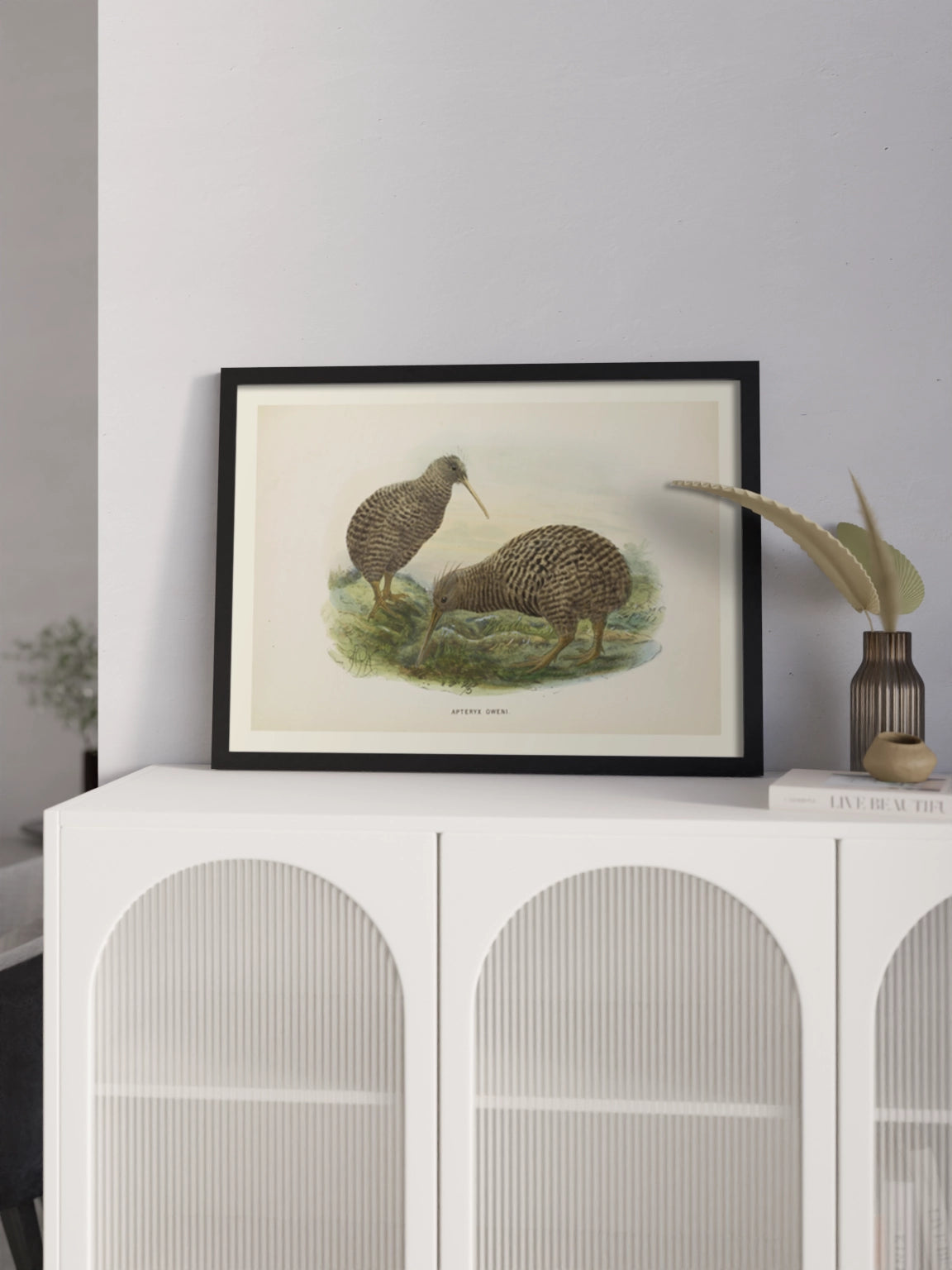 Друк Картина "Пташка ківі"