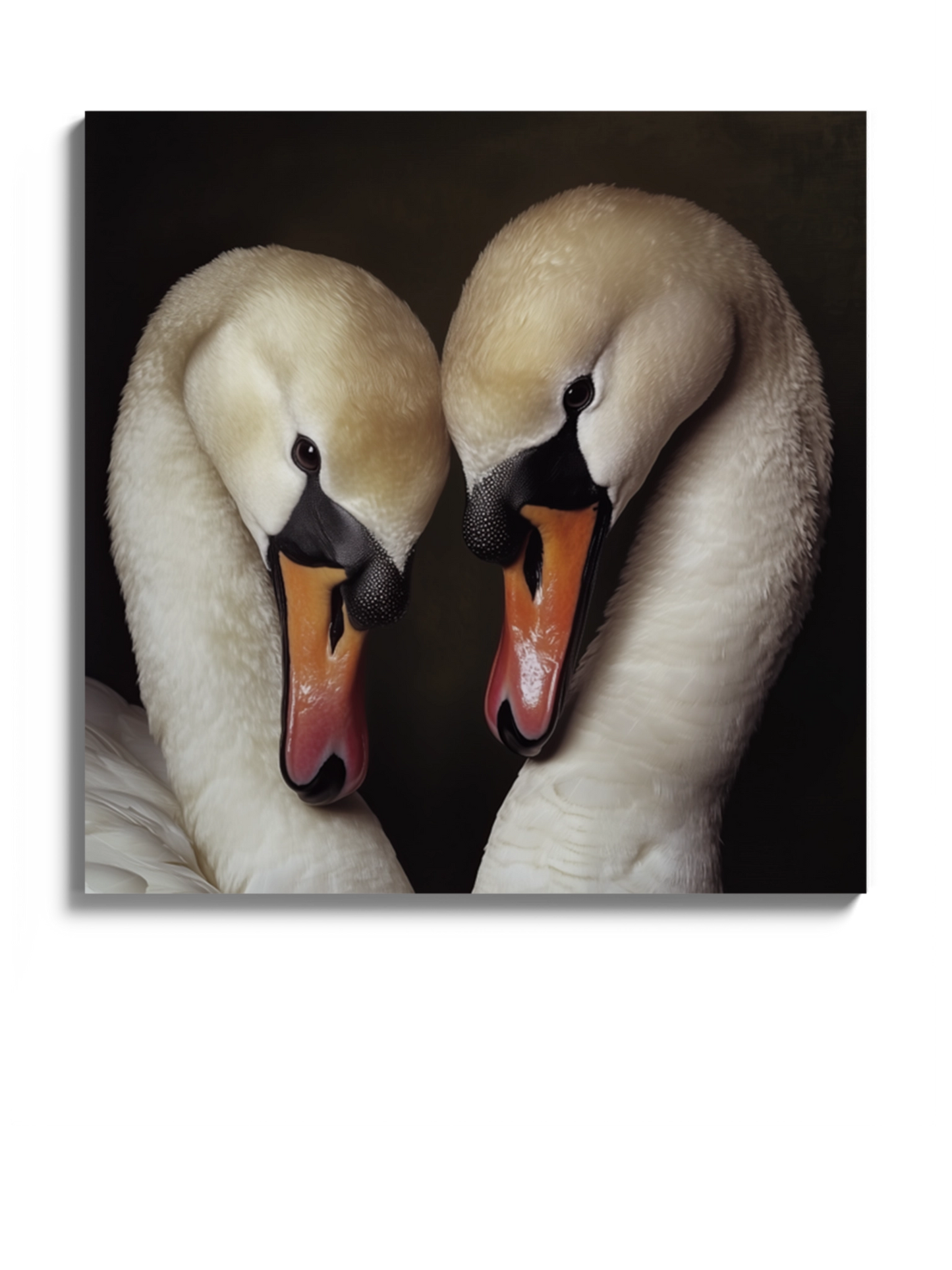 Картина Друк "Пара лебедів"