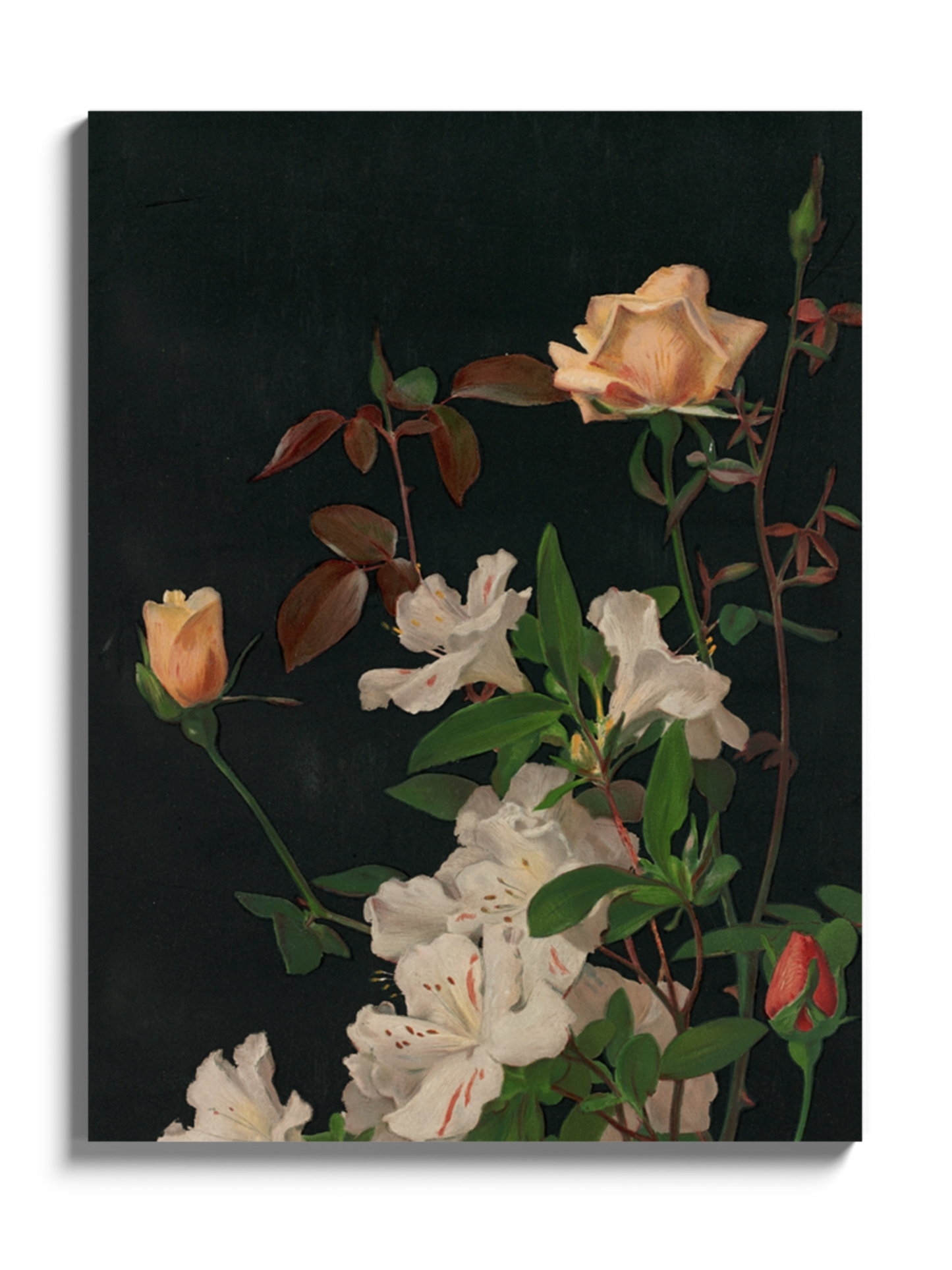 Друкована Картина "Азалії та троянди"