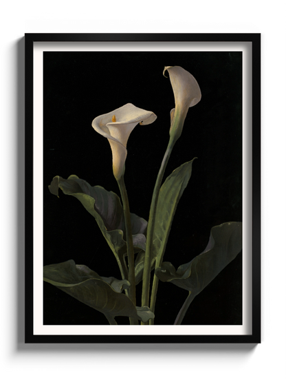 Друкована Картина "Лілія Кала"