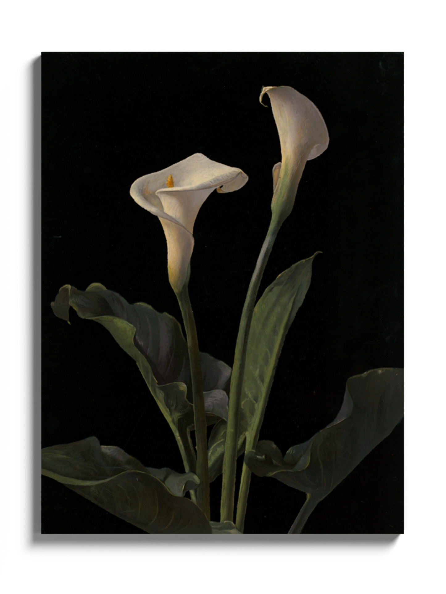 Друкована Картина "Лілія Кала"
