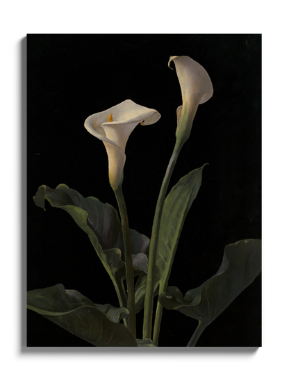 Друкована Картина "Лілія Кала"
