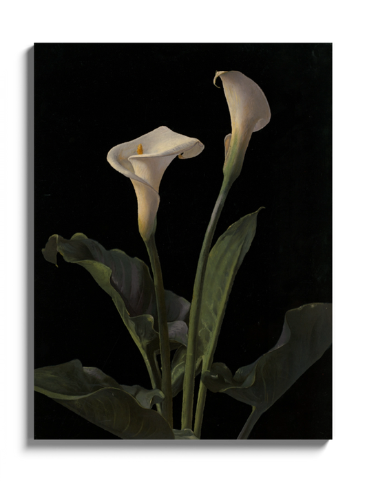 Друкована Картина "Лілія Кала"