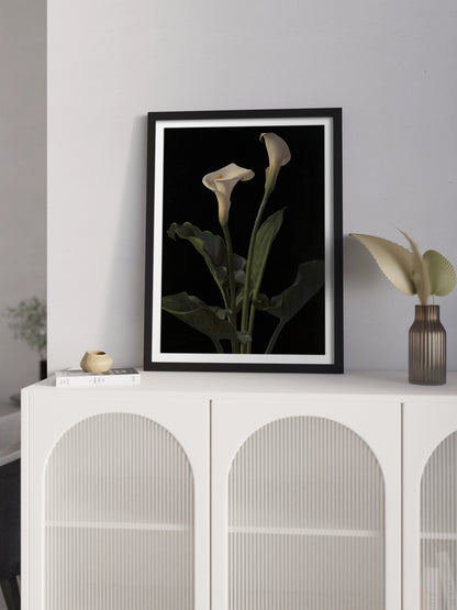 Друкована Картина "Лілія Кала"