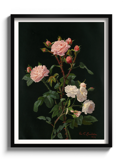 Друкована Картина "Рожеві та білі троянди"