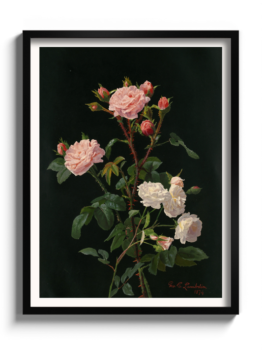 Друкована Картина "Рожеві та білі троянди"