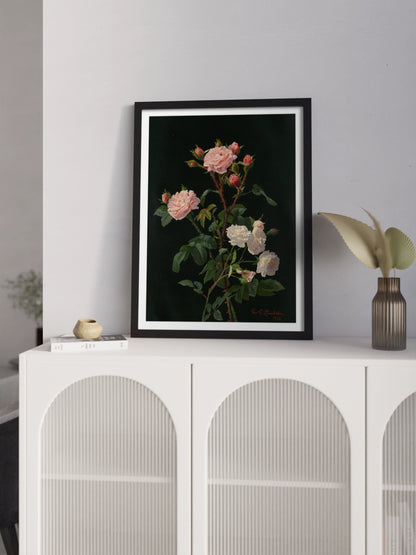 Друкована Картина "Рожеві та білі троянди"