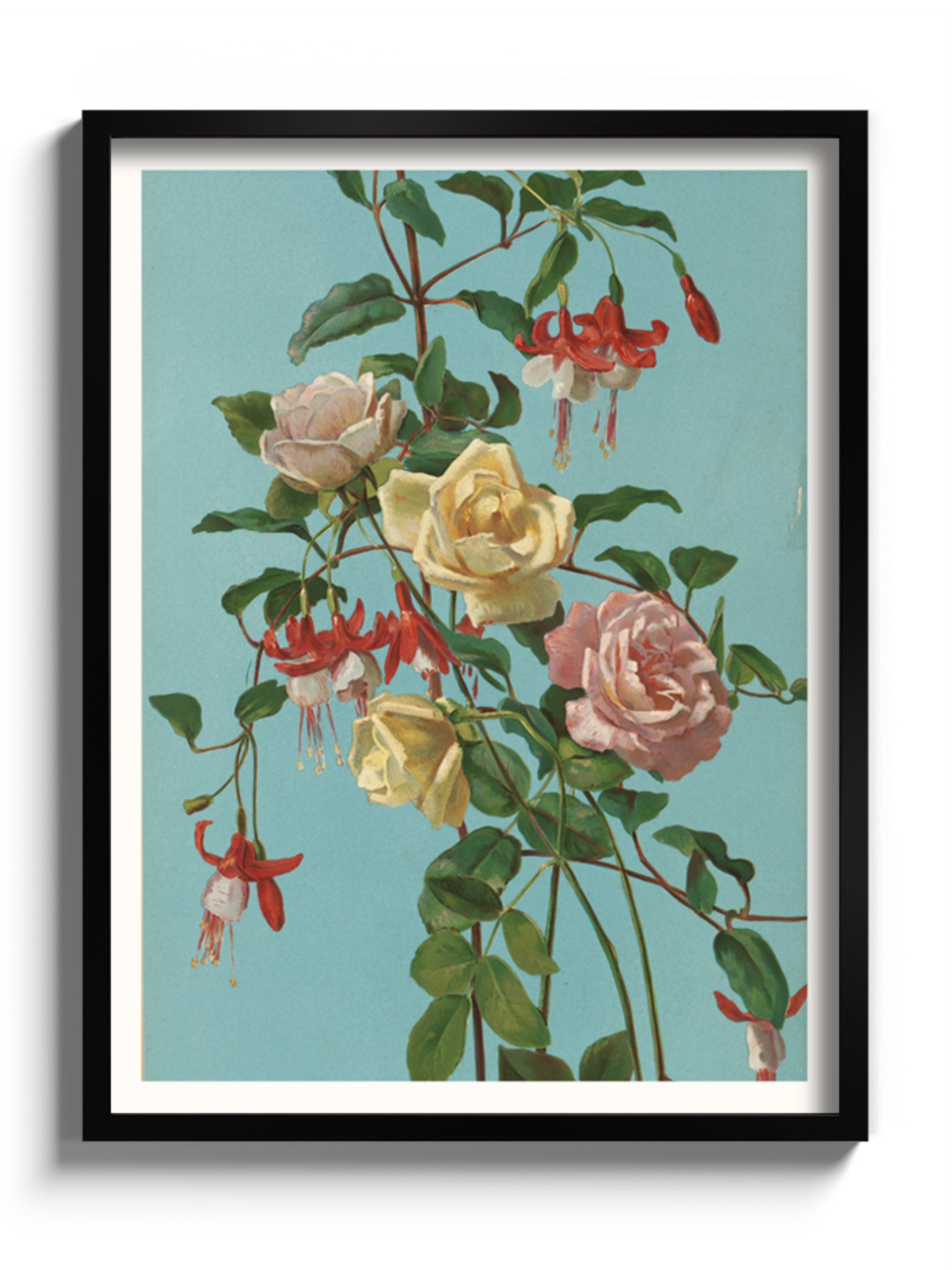 Друкована Картина "Троянди та фуксія"