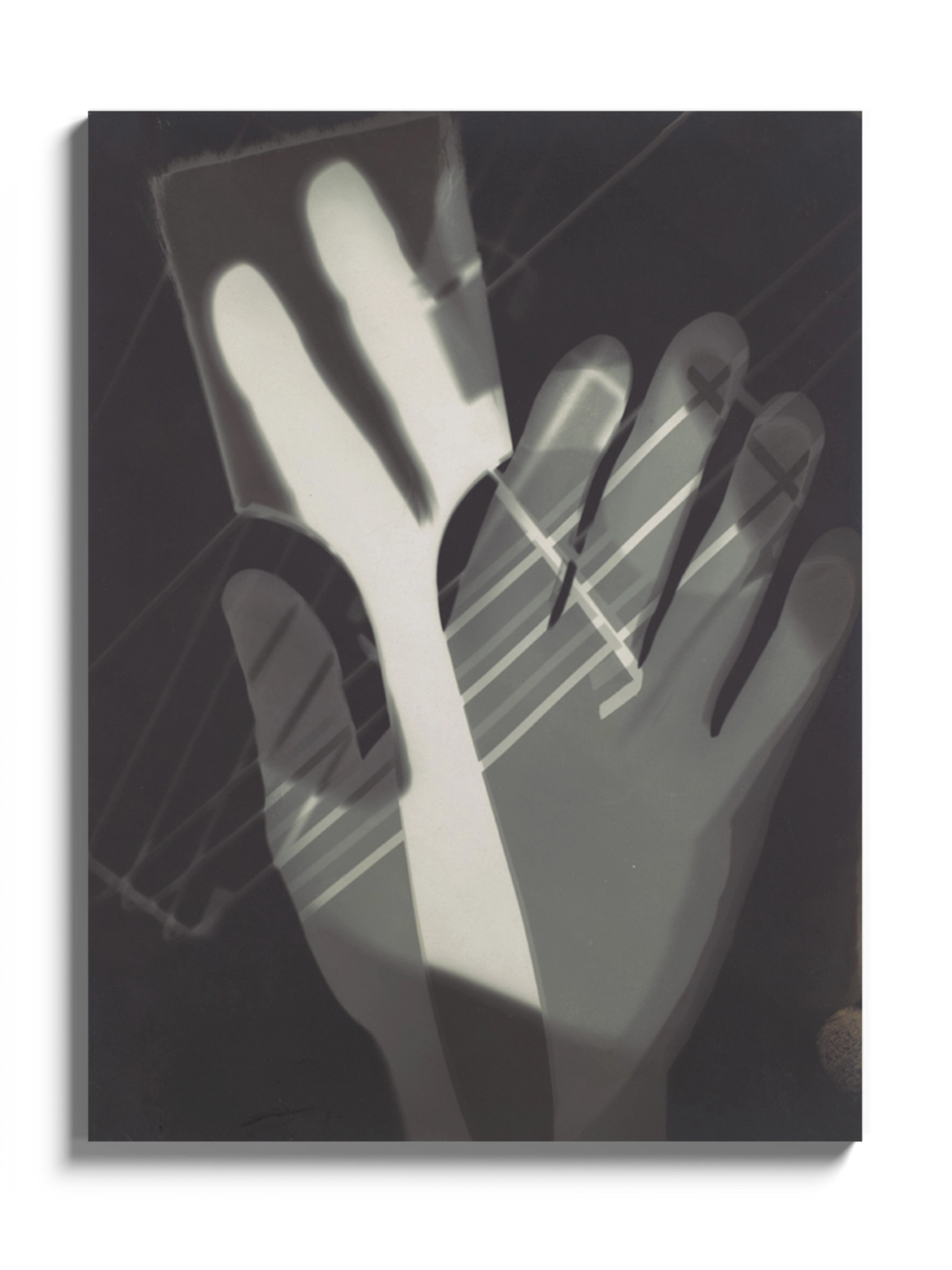 Друкована Картина "Фотограма"