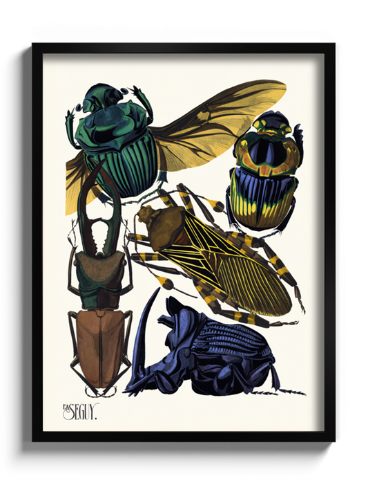 Друкована Картина "Комахи 3"