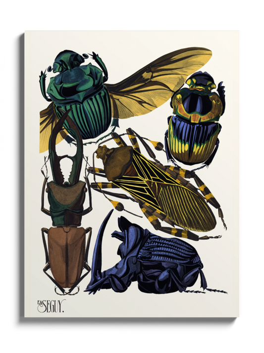 Друкована Картина "Комахи 3"