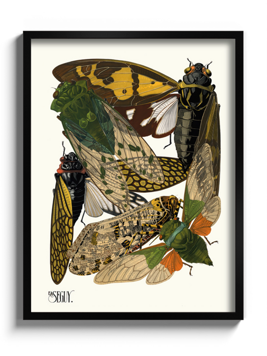 Друкована Картина "Комахи 4"