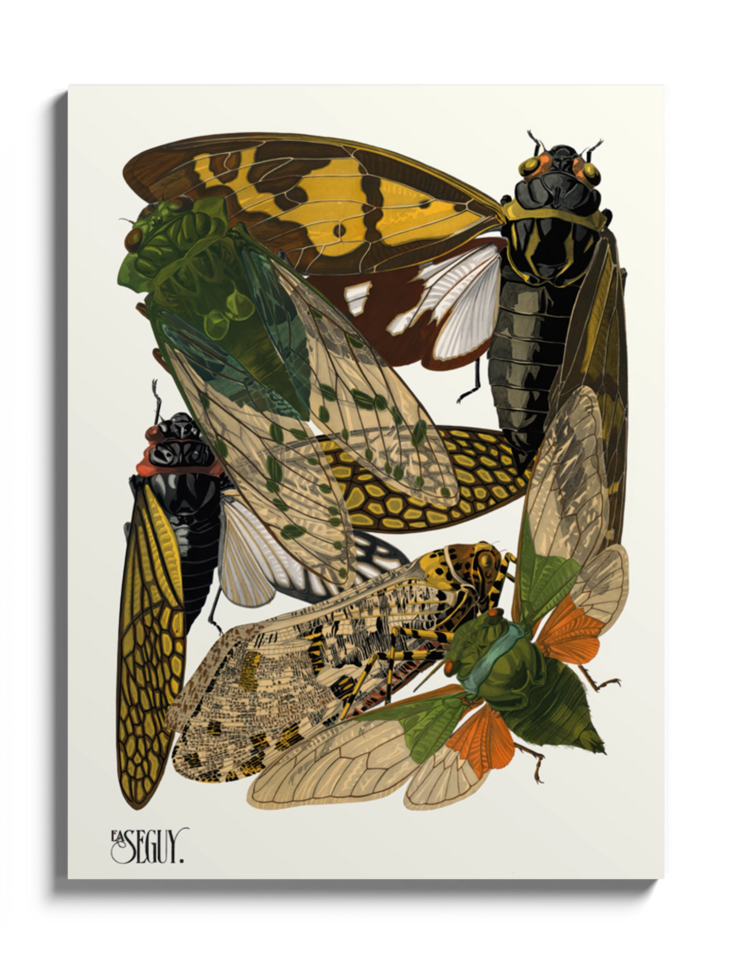 Друкована Картина "Комахи 4"