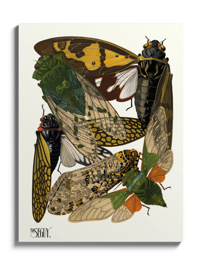 Друкована Картина "Комахи 4"