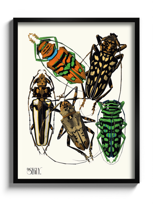 Друкована Картина "Комахи 6"