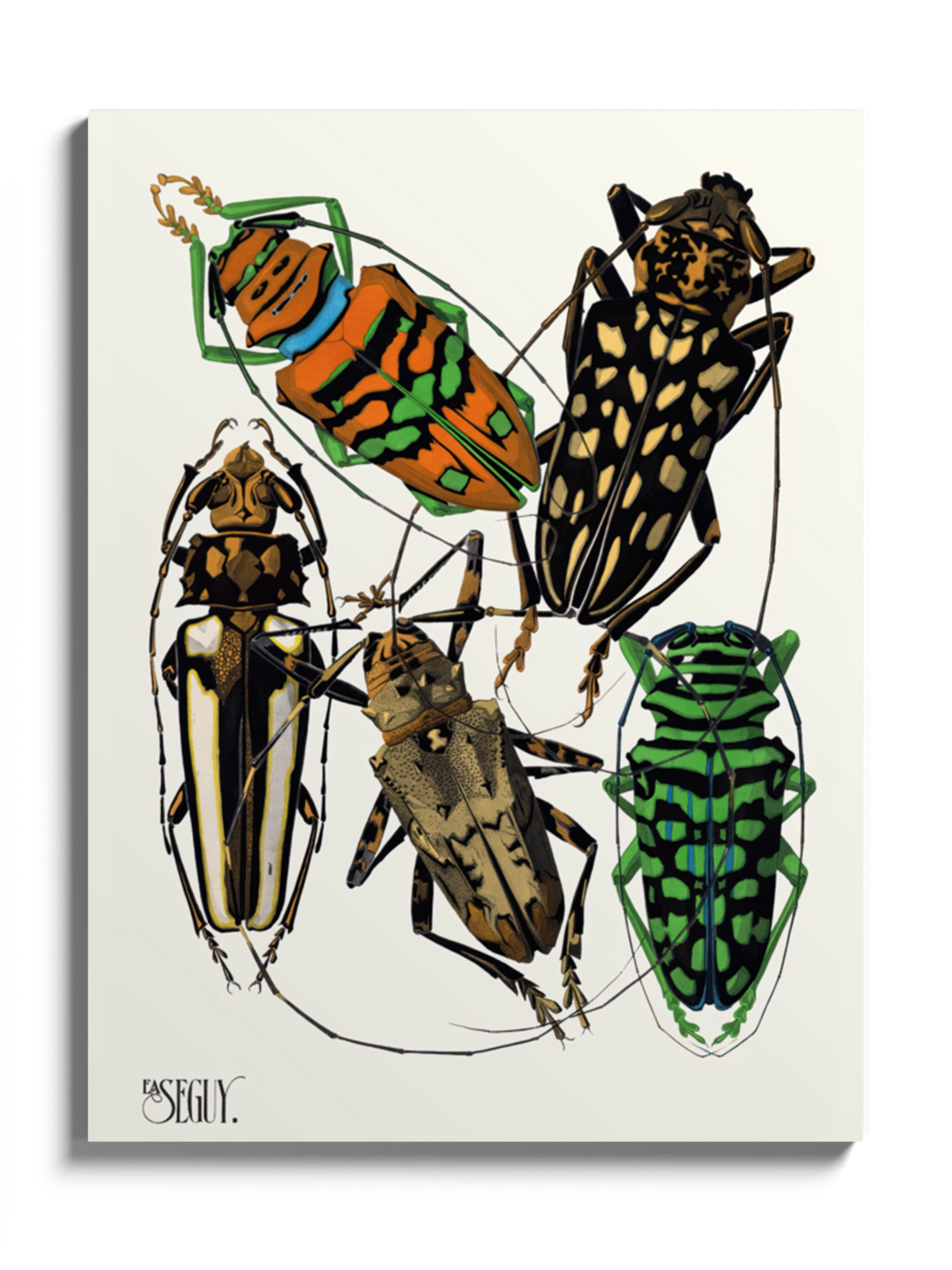 Друкована Картина "Комахи 6"