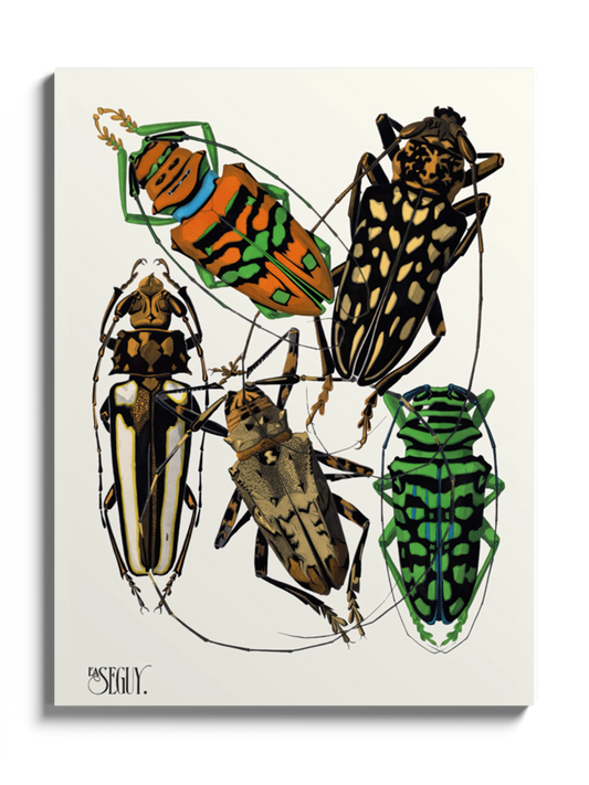 Друкована Картина "Комахи 6"