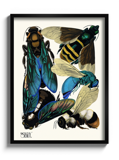 Друкована Картина "Комахи 7"